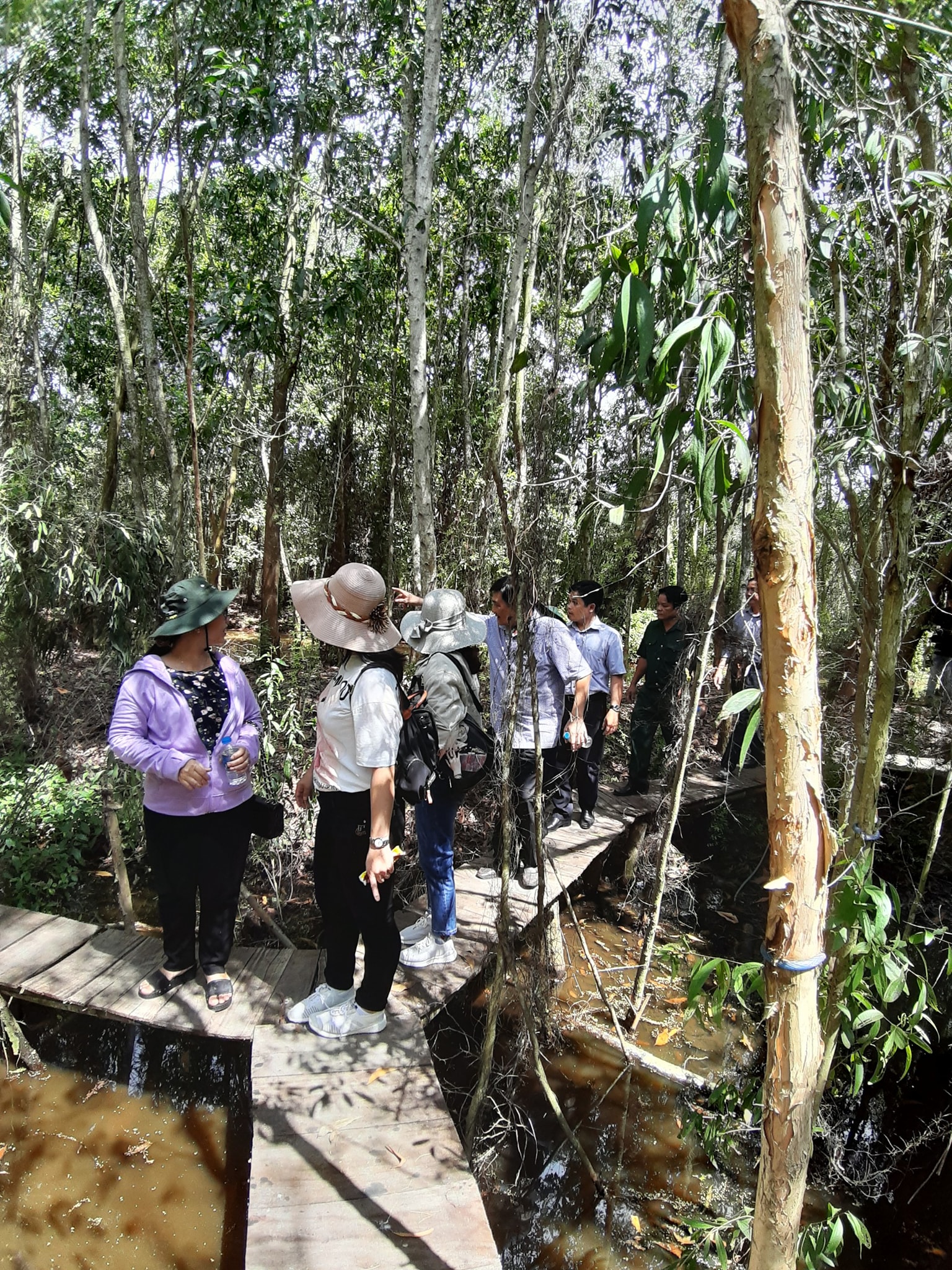 Rừng tràm Tân Tuyến   Sản phẩm du lịch mới