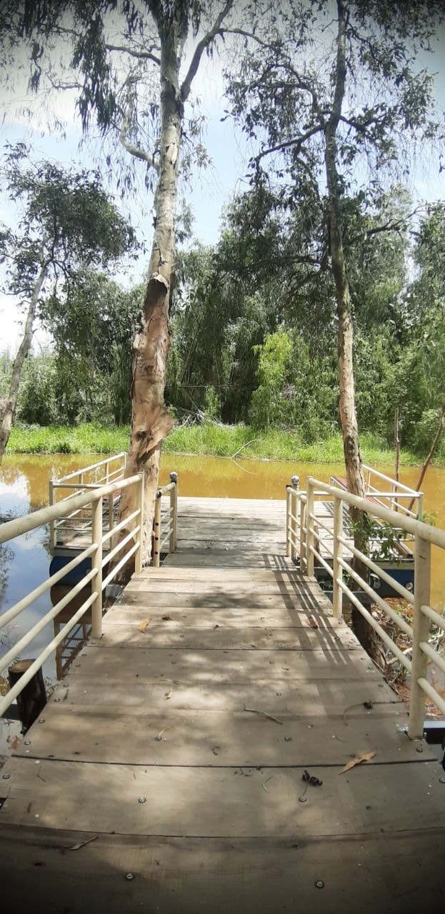 Rừng tràm Tân Tuyến   Sản phẩm du lịch mới