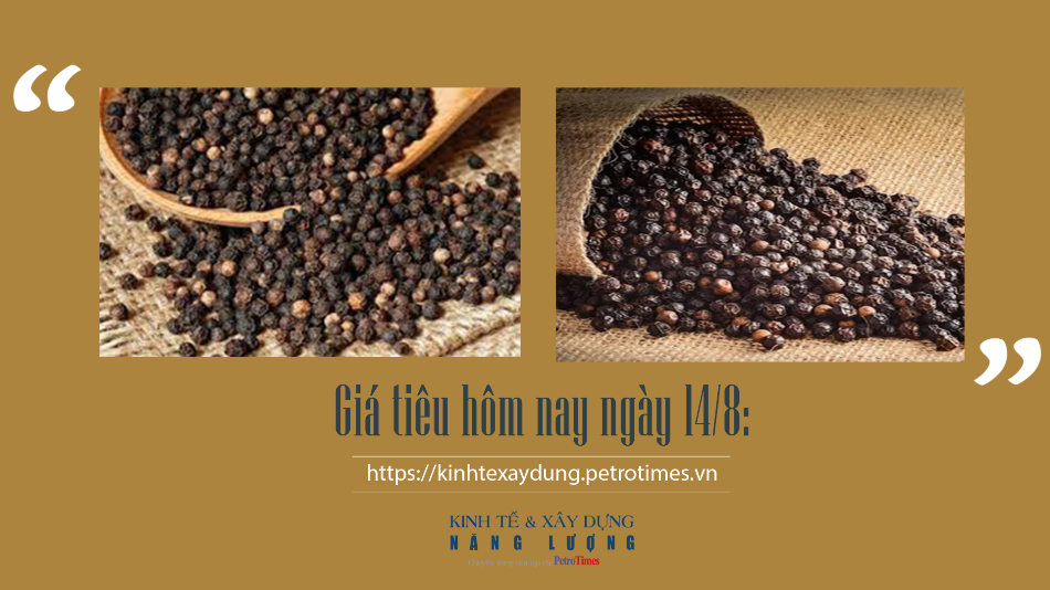 Giá tiêu hôm nay ngày 14/8: Nối dài đà tăng, thấp nhất 76.000đồng/kg