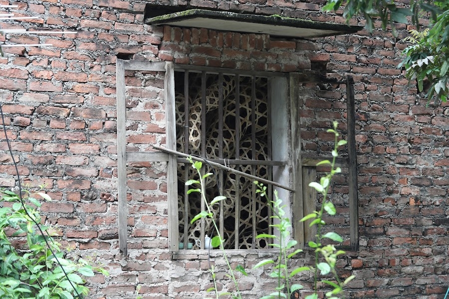 Hà Nội: 
