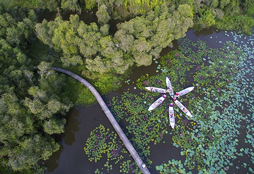 Những khu sinh thái hấp dẫn du khách tại Việt Nam