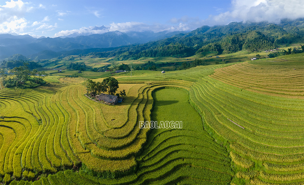 Quyến rũ mùa thu vàng Bát Xát