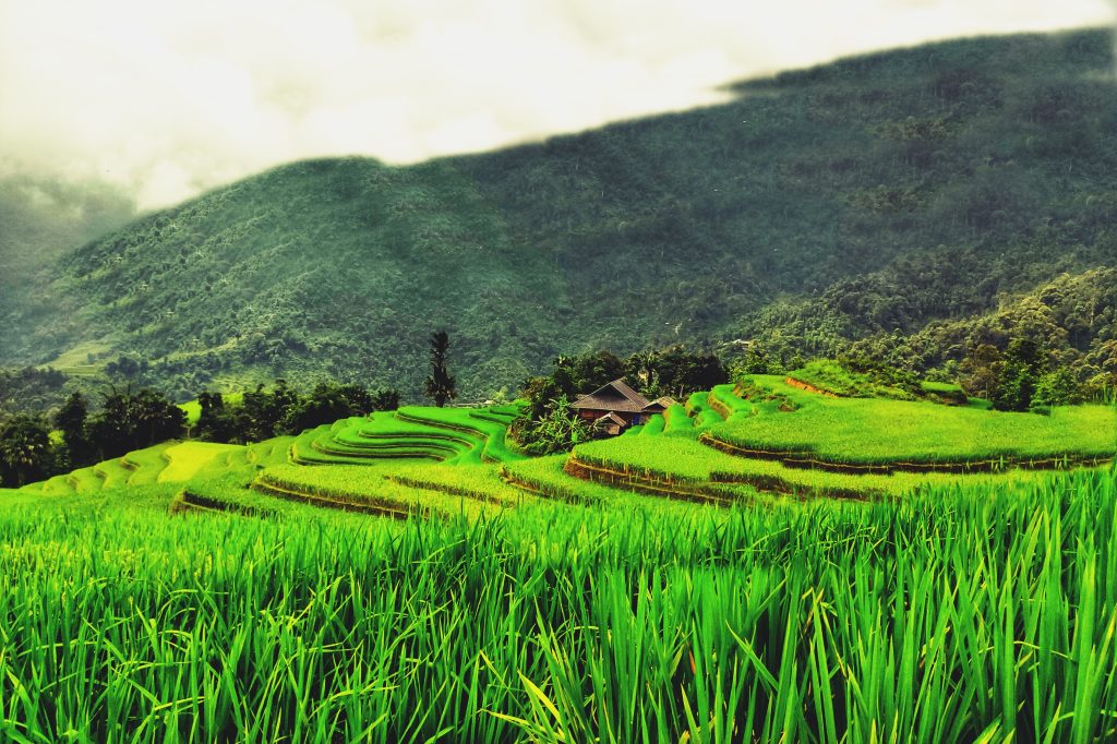 Hà Giang: Vẻ đẹp 3 thôn Nà Thác, Khuổi My, Lùng Vài