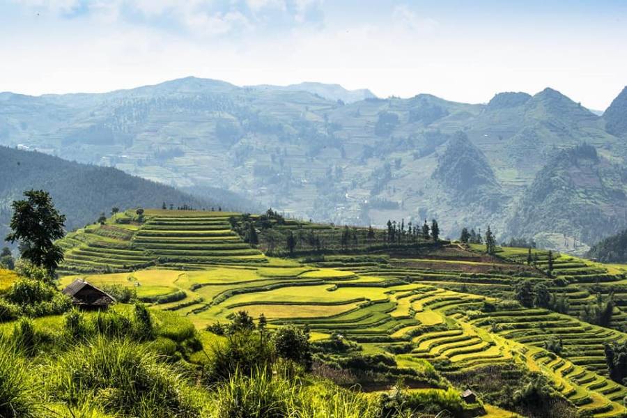 Vẻ đẹp ruộng bậc thang Quán Dín Ngài, Bản Phố (Lào Cai)