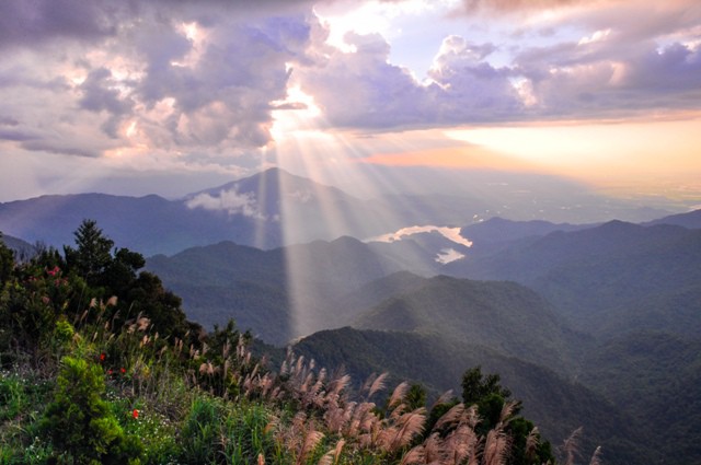 Kỳ thú Bạch Mã