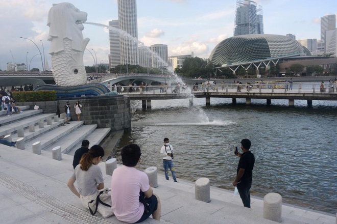 Người Singapore hy vọng xen lẫn lo âu khi sống chung với Covid-19 - 1