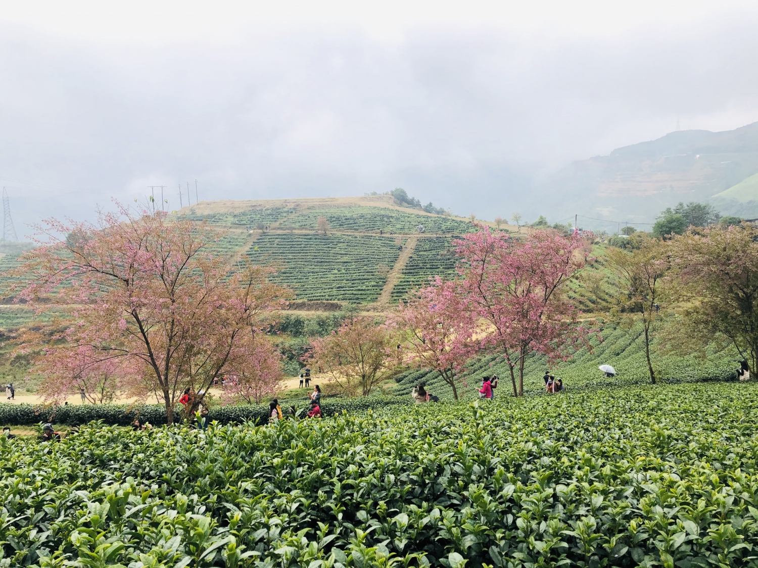 ''Mùa vàng'' du lịch Đông - Tây Bắc