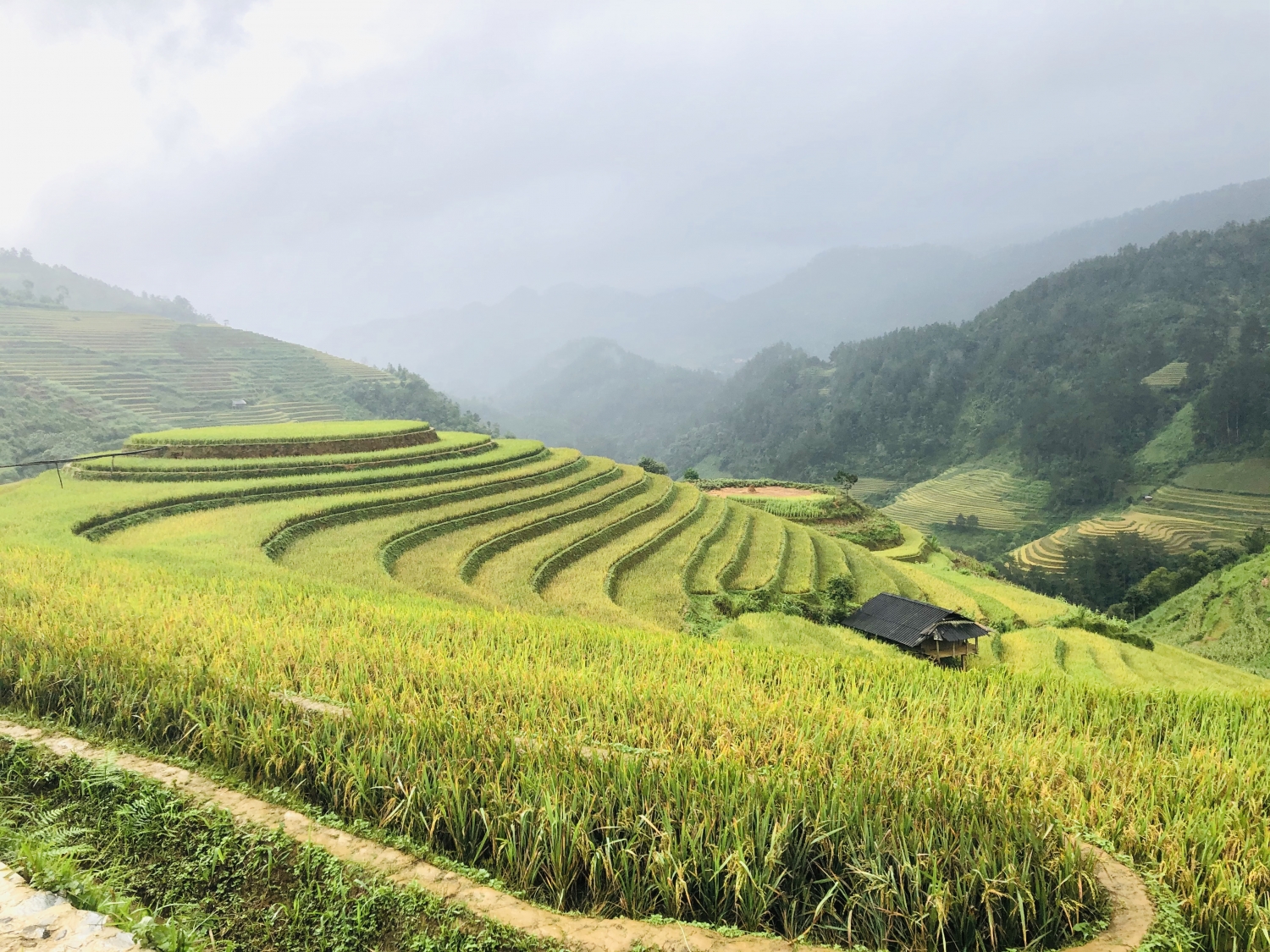 ''Mùa vàng'' du lịch Đông - Tây Bắc