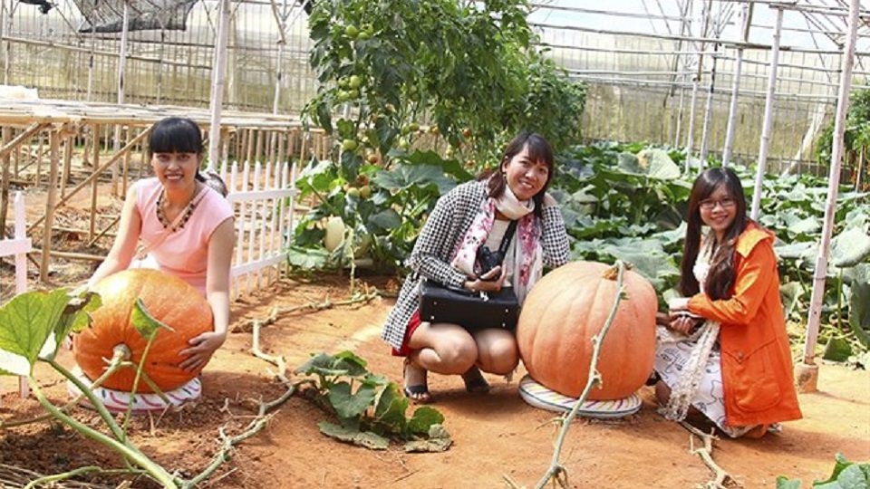 Khám phá những cái 