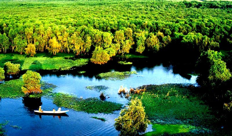 Về An Giang khám phá rừng Tràm Trà Sư