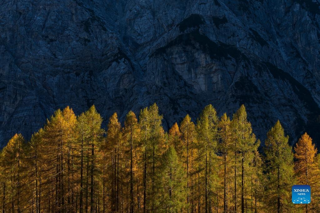 Lạc giữa sắc lá vàng của mùa thu nước Bỉ