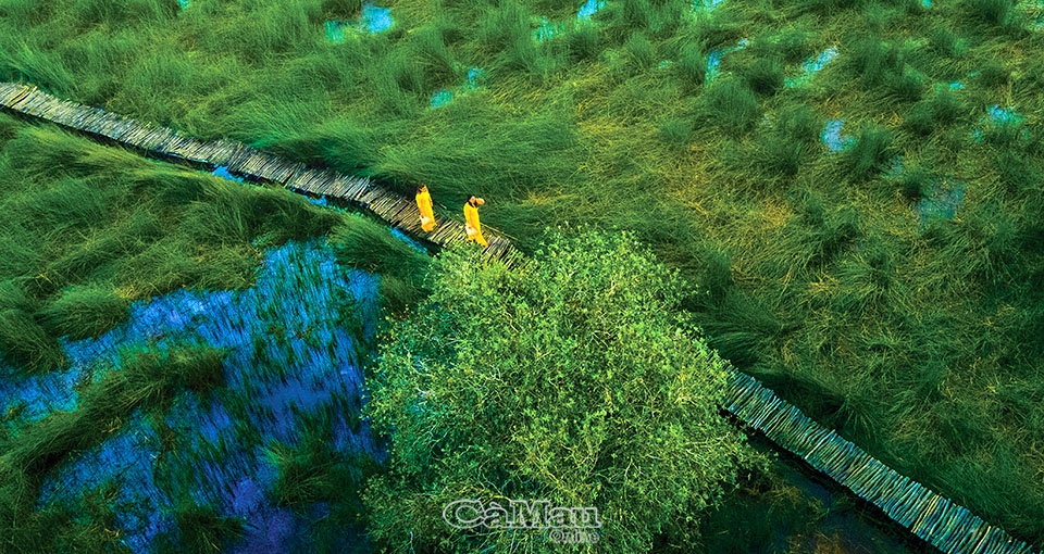 Một góc phim trường “Cánh đồng bất tận”