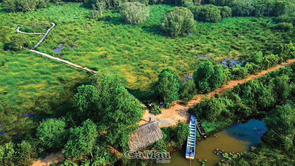 Thảm thực vật phong phú trong khu du lịch sinh thái