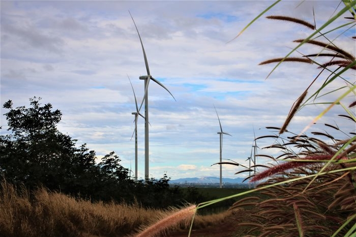 Cánh đồng quạt gió ở Đắk Đoa, Gia Lai đẹp như ngoại ô châu Âu