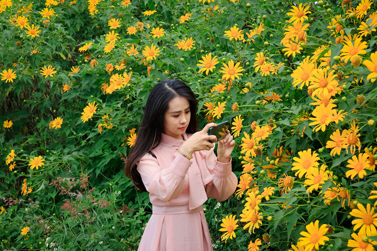 Lại một mùa hoa quỳ vàng rực rỡ tại Lâm Đồng Lại một mùa hoa quỳ vàng rực rỡ tại Lâm Đồng