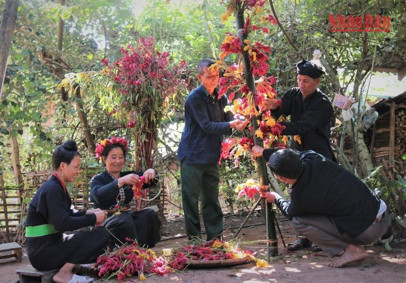 Độc đáo Tết hoa mào gà của người Cống bản Lả Chà, Điện Biên