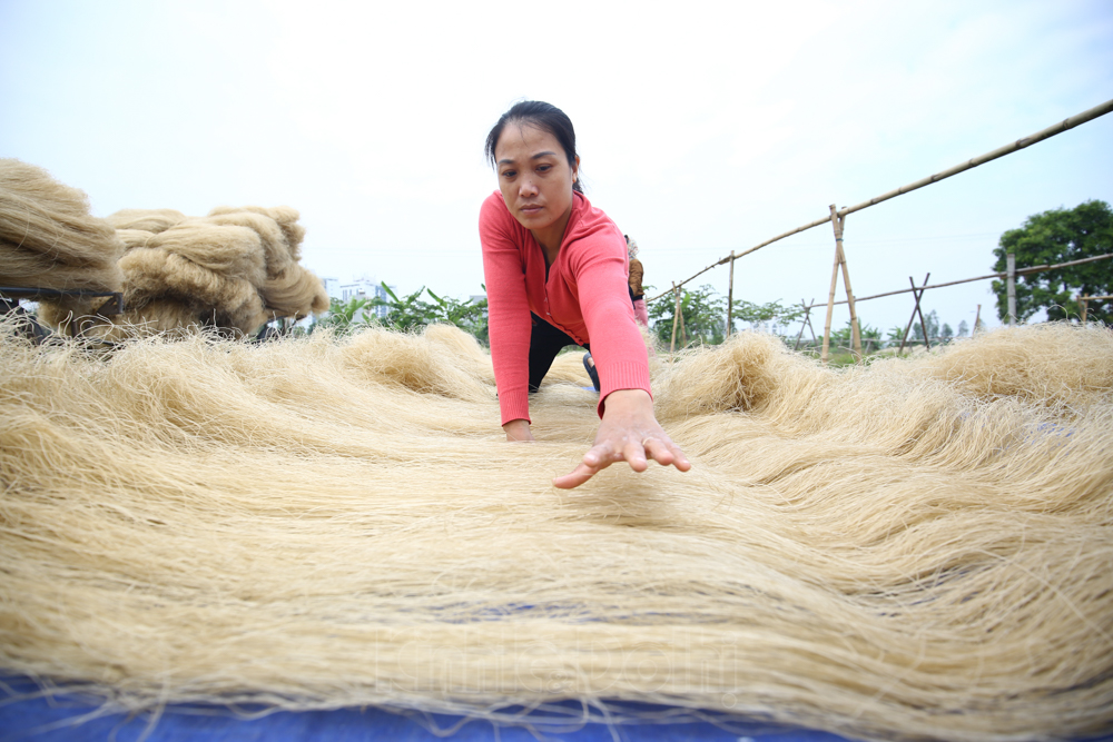 [Ảnh] Nét đẹp của làng miến hơn 400 năm giữa lòng Thủ đô