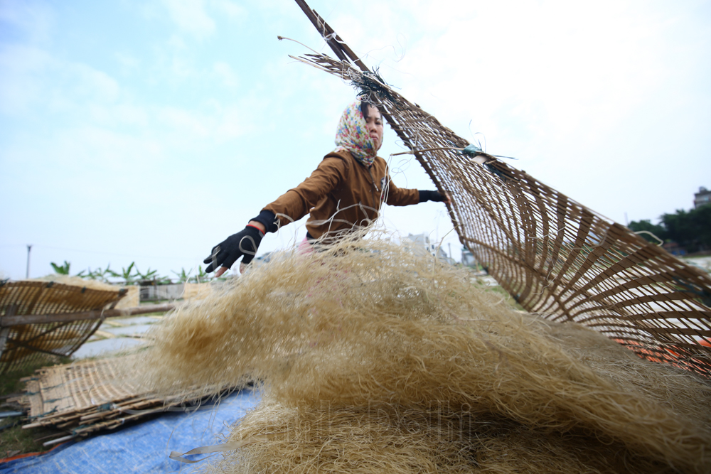 [Ảnh] Nét đẹp của làng miến hơn 400 năm giữa lòng Thủ đô
