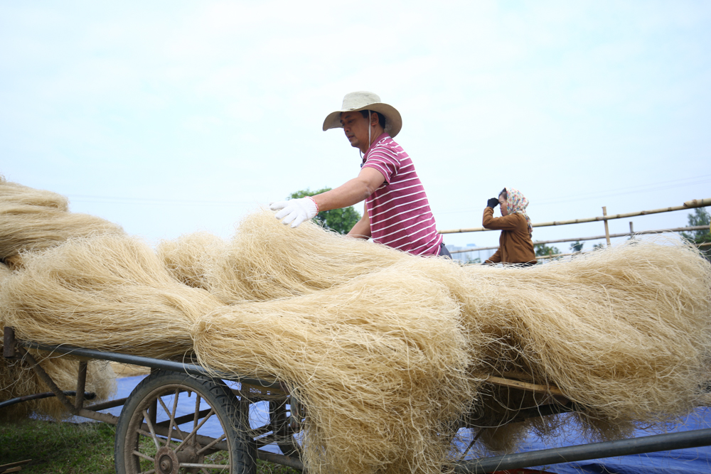 [Ảnh] Nét đẹp của làng miến hơn 400 năm giữa lòng Thủ đô