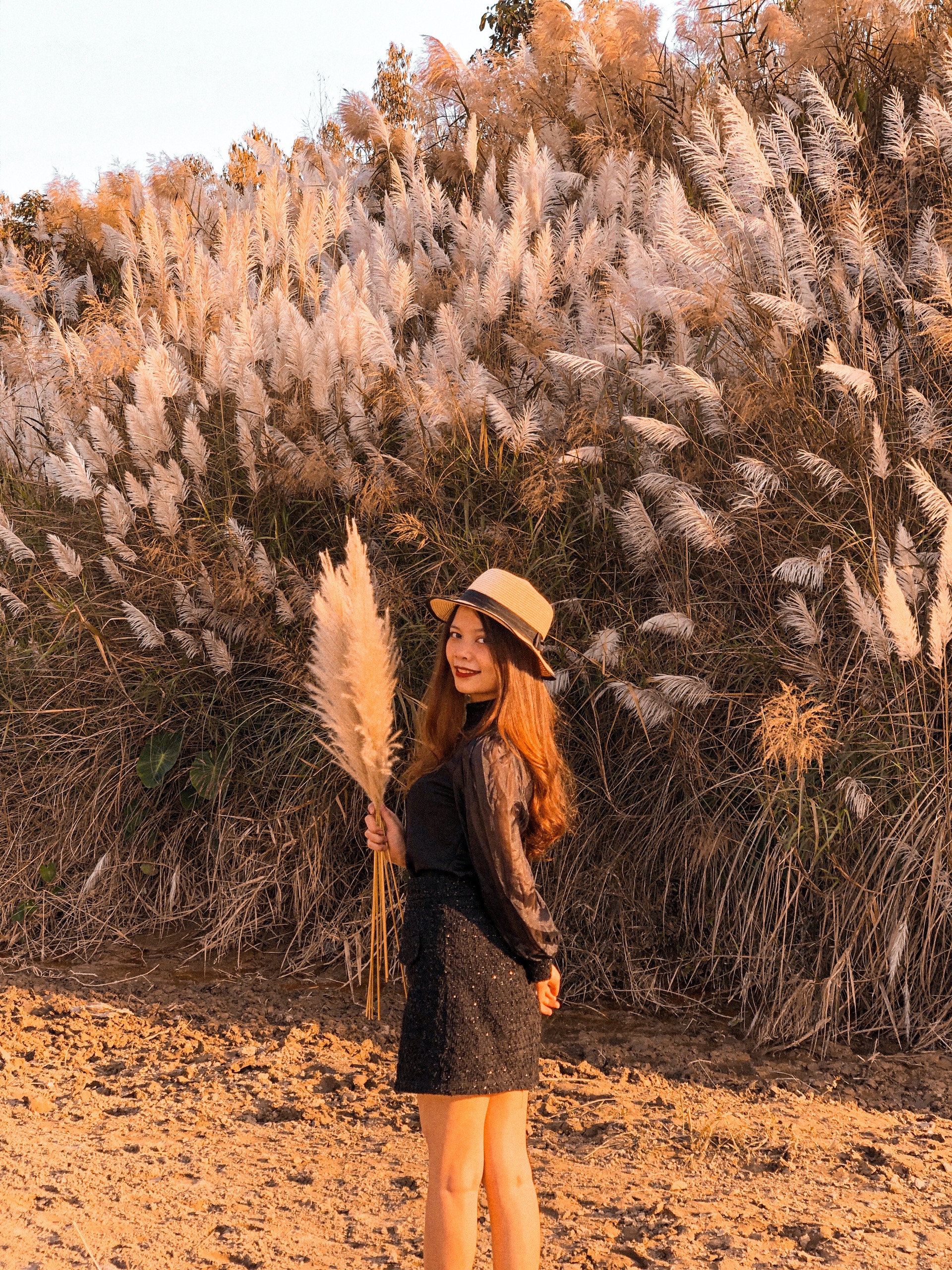 Check in bãi lau trắng tuyệt đẹp tại Minh Nông, thành phố Việt Trì