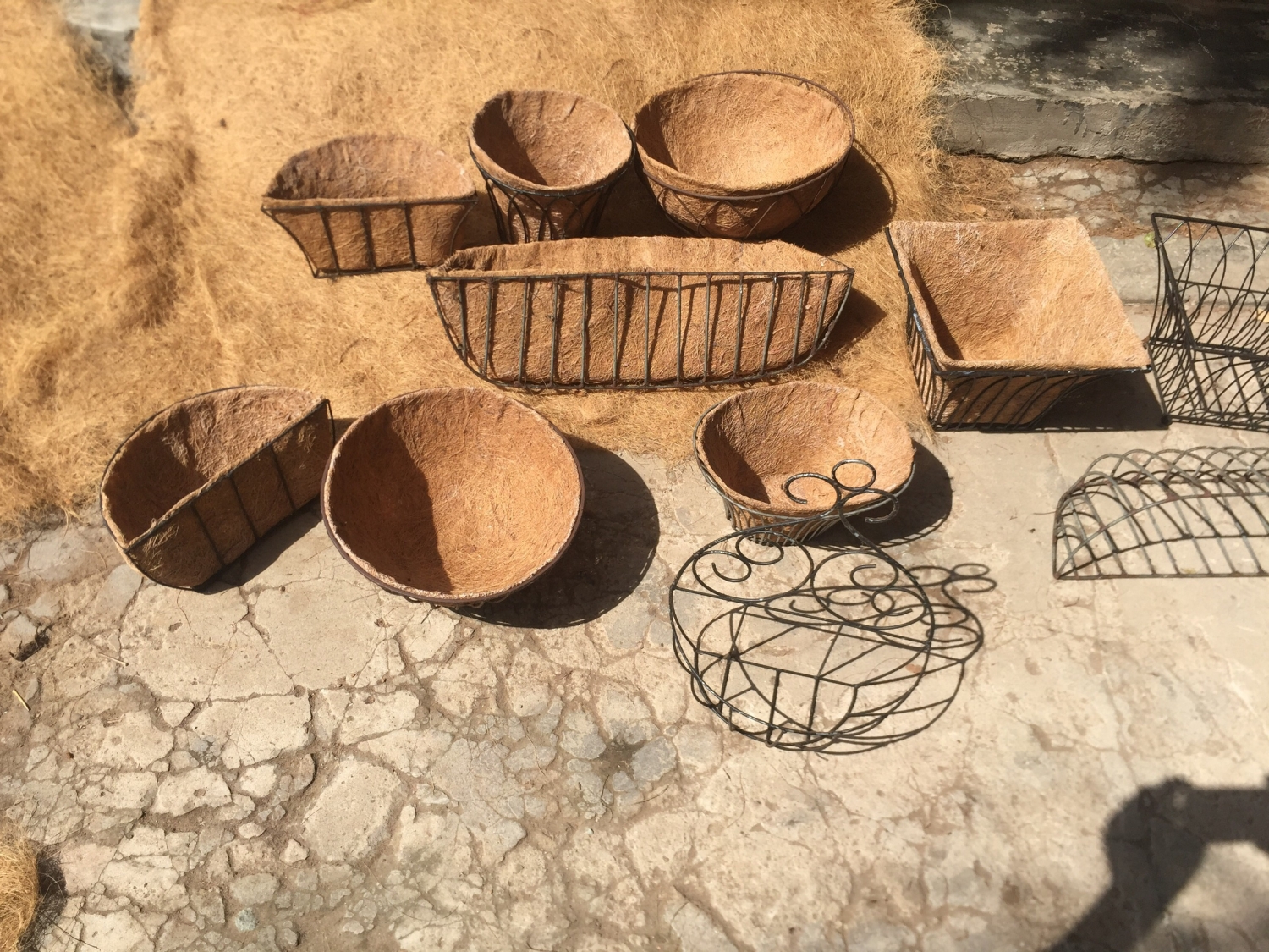 Bến Tre: Mô hình du lịch nông nghiệp 