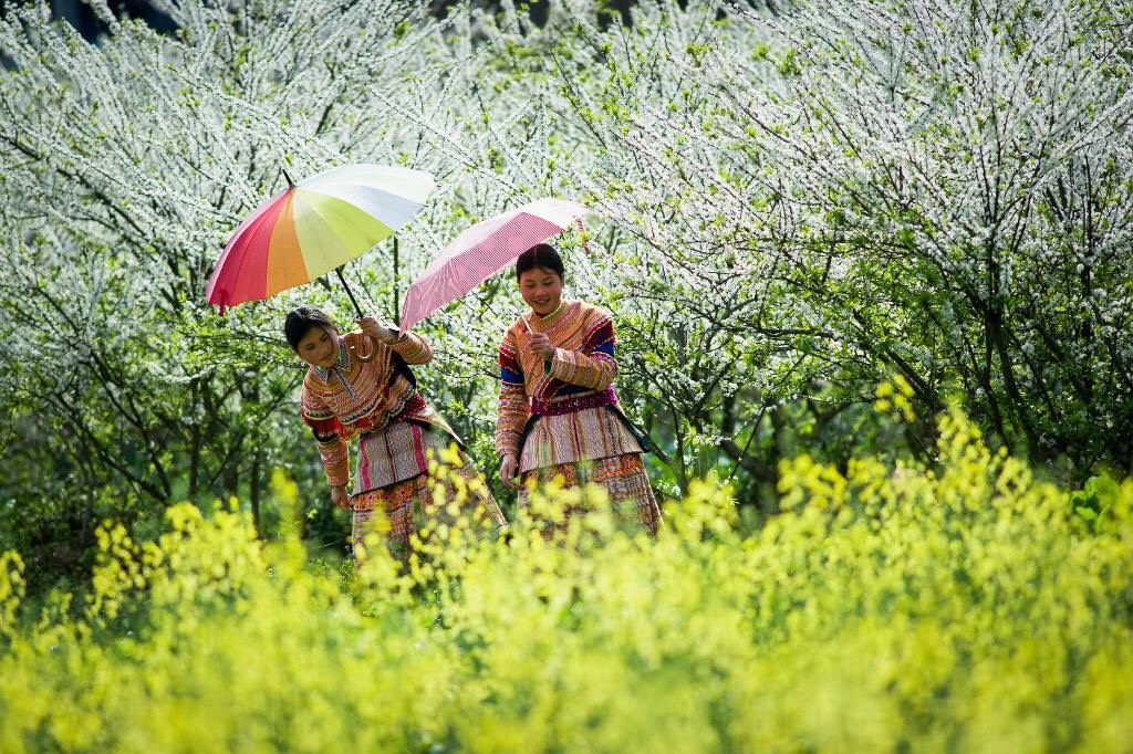 Sapa trở thành một trong những điểm đến hấp dẫn nhất trong bảng xếp hạng năm nay