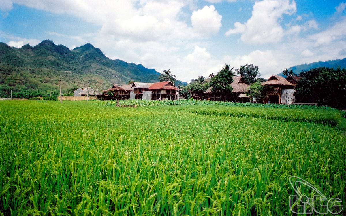 8 cung đường trekking tuyệt đẹp ở Việt Nam theo đề xuất của Lonely Planet