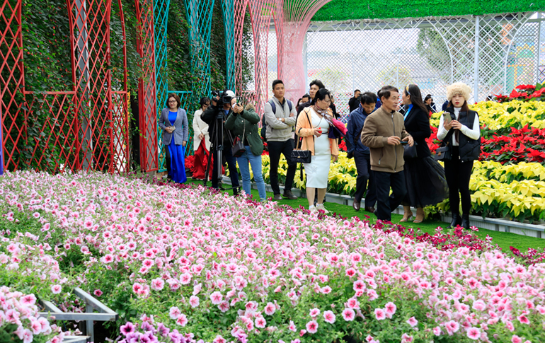 Khai mạc chương trình tham quan làng hoa Vạn Thành chào đón Festival Hoa Đà Lạt 2022 Khai mạc chương trình tham quan làng hoa Vạn Thành chào đón Festival Hoa Đà Lạt 2022