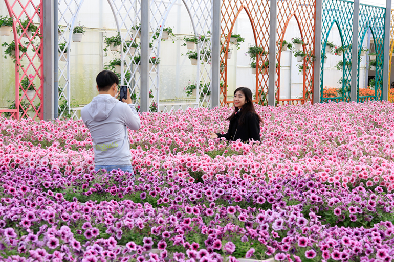 Khai mạc chương trình tham quan làng hoa Vạn Thành chào đón Festival Hoa Đà Lạt 2022 Khai mạc chương trình tham quan làng hoa Vạn Thành chào đón Festival Hoa Đà Lạt 2022