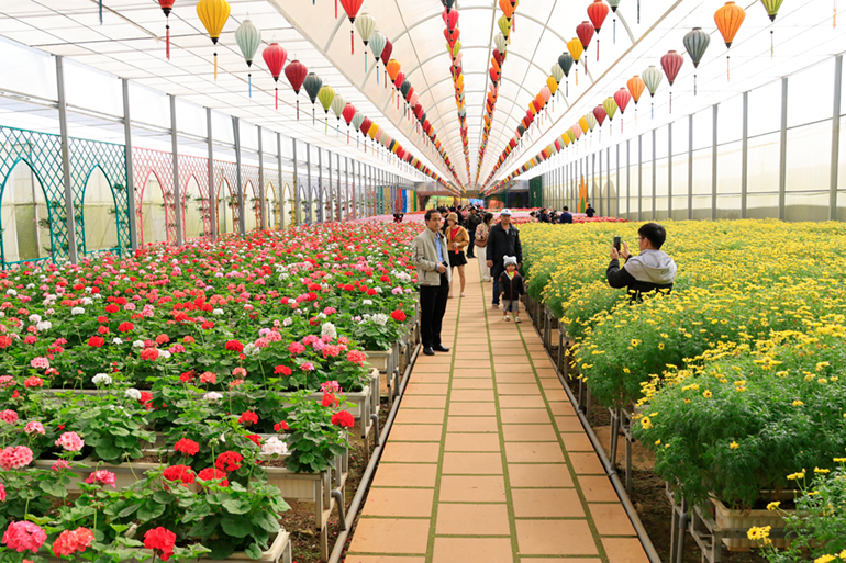 Khai mạc chương trình tham quan làng hoa Vạn Thành chào đón Festival Hoa Đà Lạt 2022 Khai mạc chương trình tham quan làng hoa Vạn Thành chào đón Festival Hoa Đà Lạt 2022