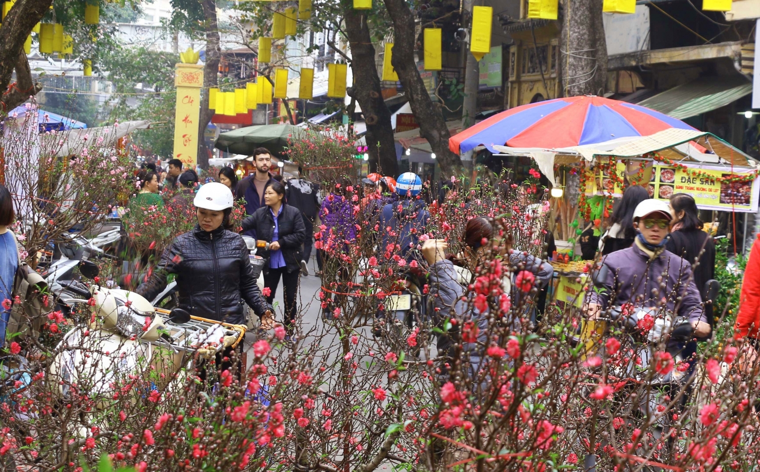 Chợ hoa Hàng Lược