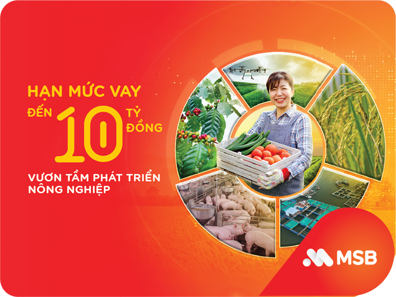 Tin ngân hàng ngày 11/2: MSB cho vay phát triển nông nghiệp với hạn mức tới 10 tỷ đồng Tin ngân hàng ngày 11/2: MSB cho vay phát triển nông nghiệp với hạn mức tới 10 tỷ đồng