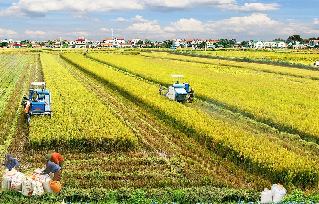 Tin bất động sản ngày 15/3: Công ty Phú Thịnh Vân Đồn được giao làm dự án gần 500 tỷ tại Quảng Ninh