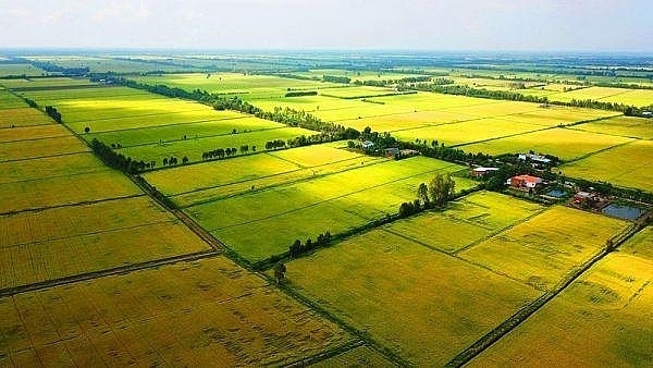 Tin nhanh bất động sản ngày 30/4: Long An được chuyển mục đích sử dụng hơn 81ha đất lúa