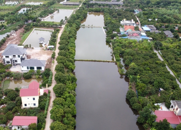 Hải Phòng: Đề nghị công an vào cuộc điều tra nhiều biệt thự 