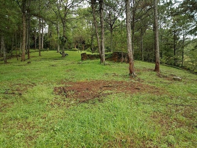 Tin bất động sản ngày 21/7: Rà soát, điều chỉnh đề xuất dự án cây dược liệu của Địa ốc Phú Đông Tin bất động sản ngày 21/7: Rà soát, điều chỉnh đề xuất dự án cây dược liệu của Địa ốc Phú Đông