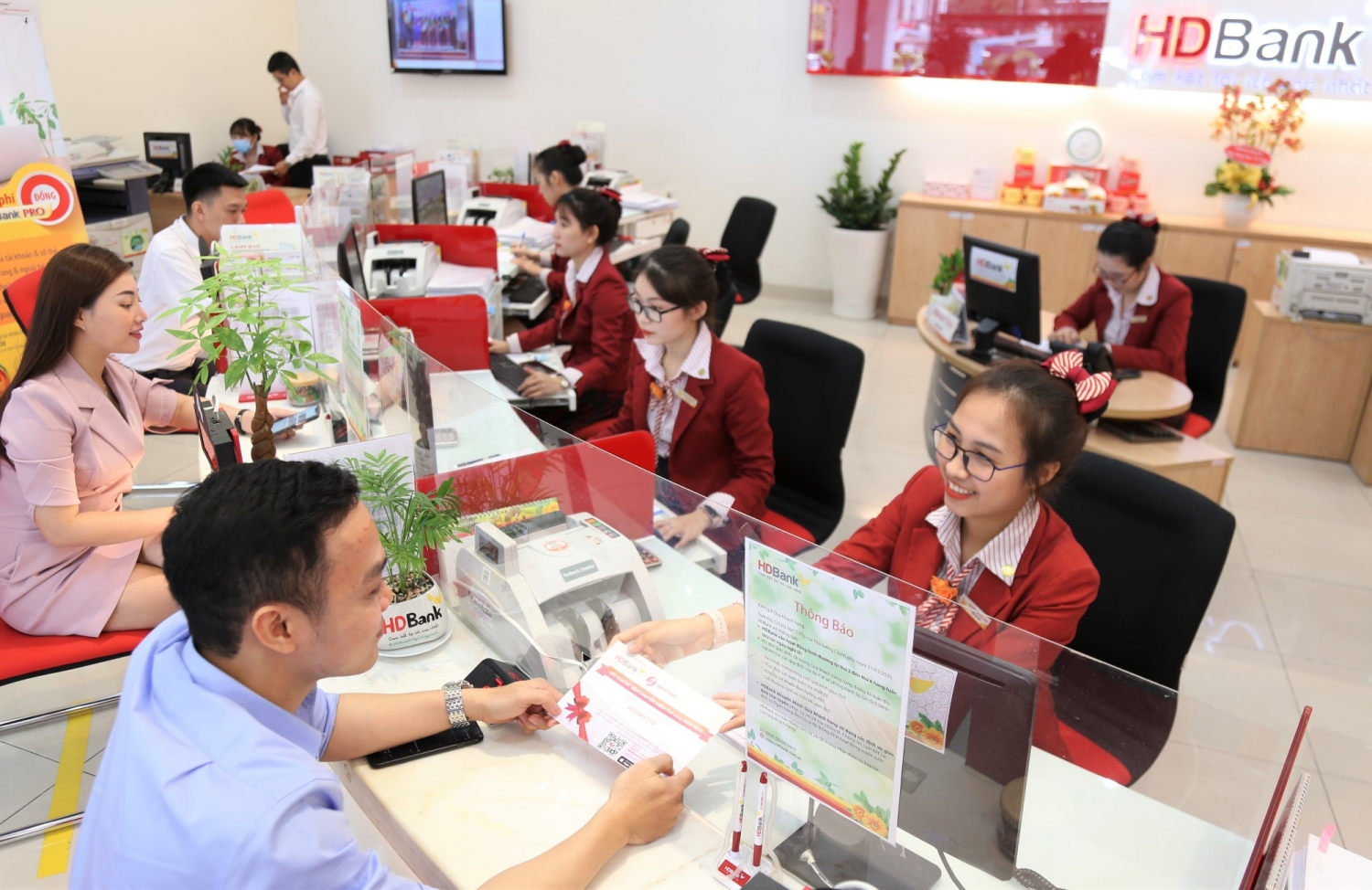 Ngành ngân hàng tiếp tục cơ cấu lại hệ thống và xử lý nợ xấu Ngành ngân hàng tiếp tục cơ cấu lại hệ thống và xử lý nợ xấu