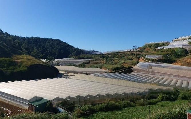 Tin nhanh bất động sản ngày 8/9: Lâm Đồng tháo dỡ 227ha nhà kính, nhà lưới xây dựng trái phép