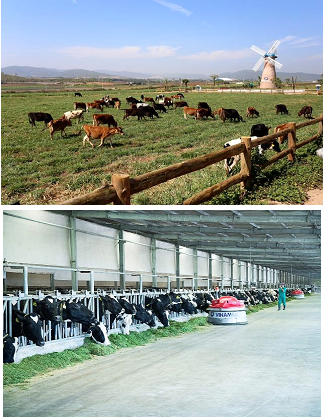 Liên doanh của Vinamilk tại Philippines ra mắt người tiêu dùng với 4 dòng sản phẩm sữa tiềm năng