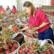 Xuất khẩu rau quả 9 tháng đạt 2,5 tỷ USD