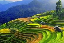 me hon ve dep cua tu dai dinh deo noi danh tay bac