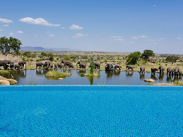 10 be boi vo cuc hut hon du khach