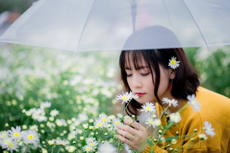 cac ban tre hao huc ru nhau check in vuon cuc hoa mi tuyet dep