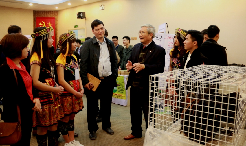 khoi day tinh than khoi nghiep trong gioi tre