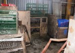 Hà Nội: Chợ tiền tỷ để... nuôi gà?!