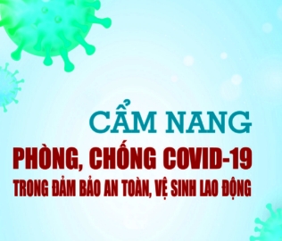 Ra mắt sách “Cẩm nang phòng, chống COVID-19 trong đảm bảo an toàn, vệ sinh lao động”
