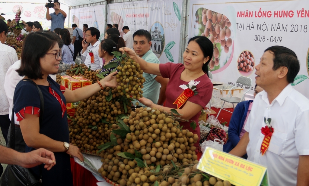 dua nhan long chinh hieu den tay nguoi tieu dung thu do