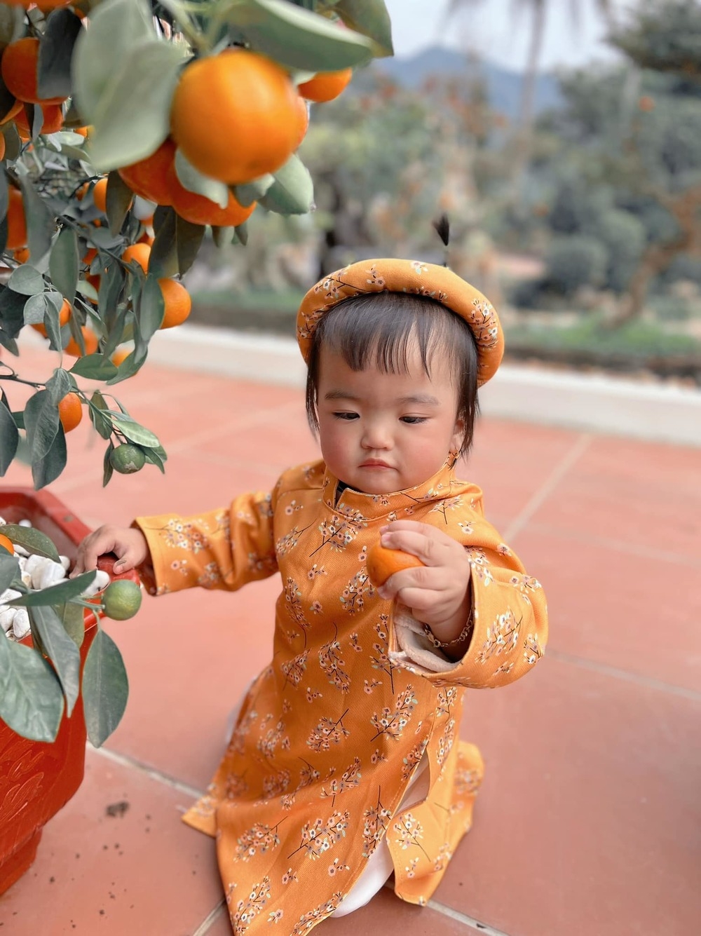 Sao Việt ngày 7/2/2022: Lê Lộc - Tuấn Dũng cùng những khoảnh khắc thân thiết