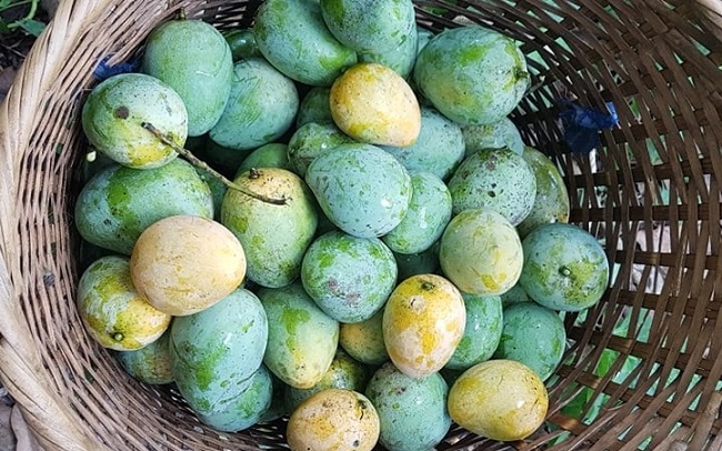 Du lịch Nghệ An: Địa điểm, kinh nghiệm ăn ở, vui chơi