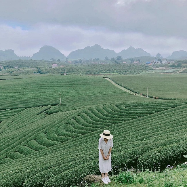 Du lịch Nghệ An: Địa điểm, kinh nghiệm ăn ở, vui chơi